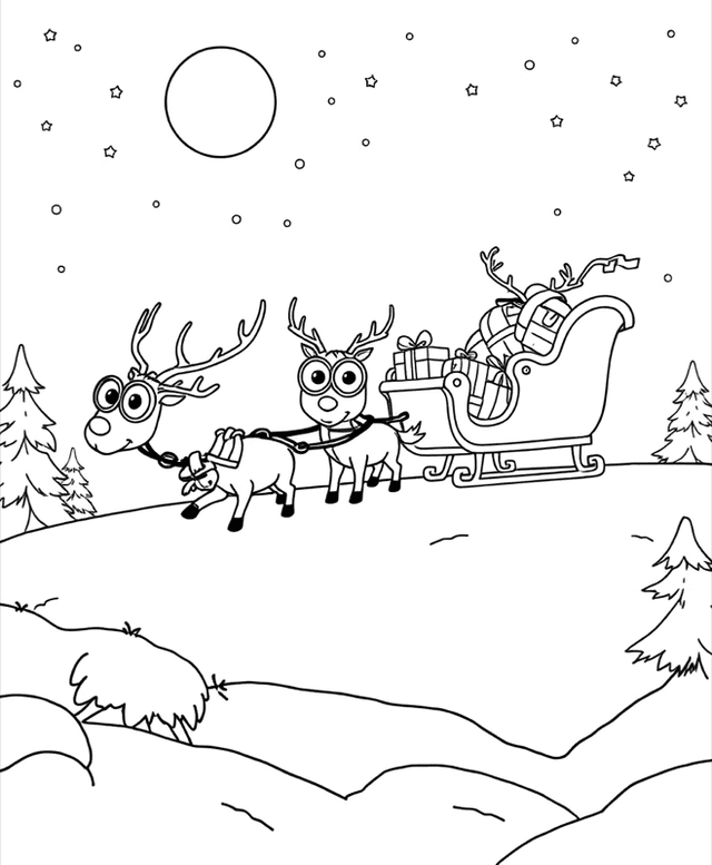 Reindeer & Sleigh